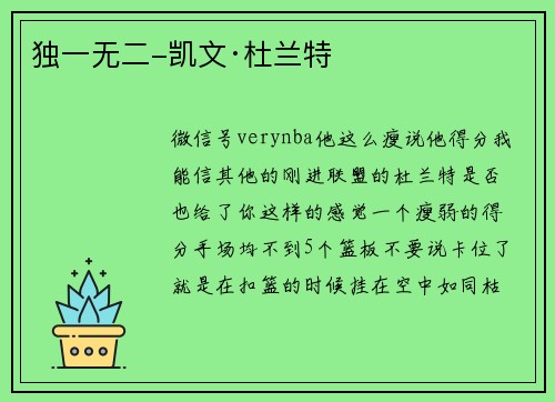 独一无二-凯文·杜兰特