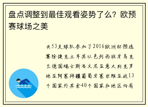 盘点调整到最佳观看姿势了么？欧预赛球场之美